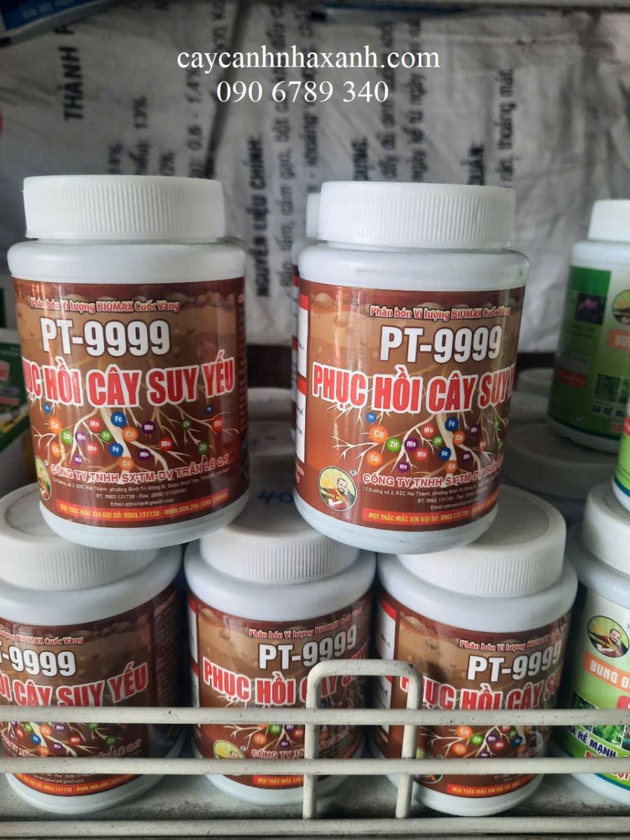 1138 - Thuốc Phục hồi cây - 100gr