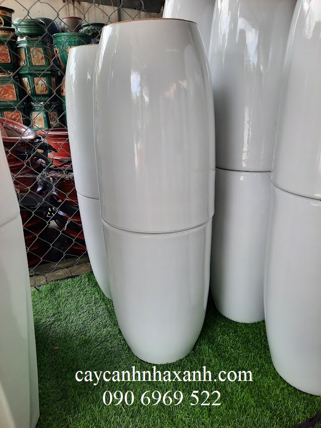 805 C - Chậu sứ  30 x 45