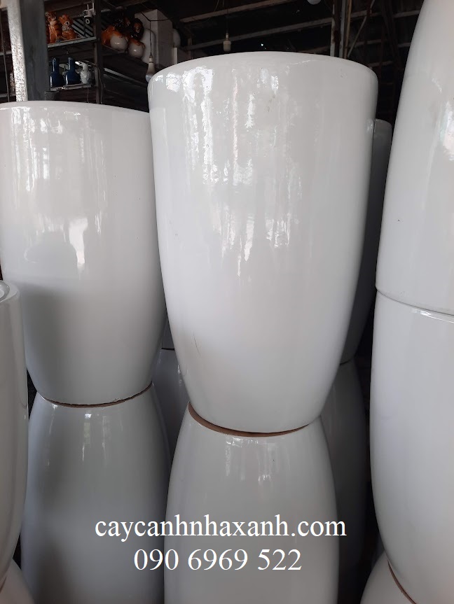 805 - Chậu sứ trơn 40 x 60